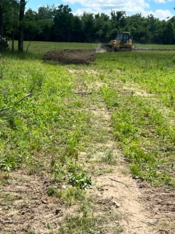 RV Park - drive clearing